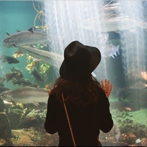 Meet your Posher, Claire